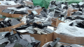OH165882 - Boxes of LCDs in HK.png